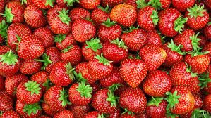 Erdbeeren